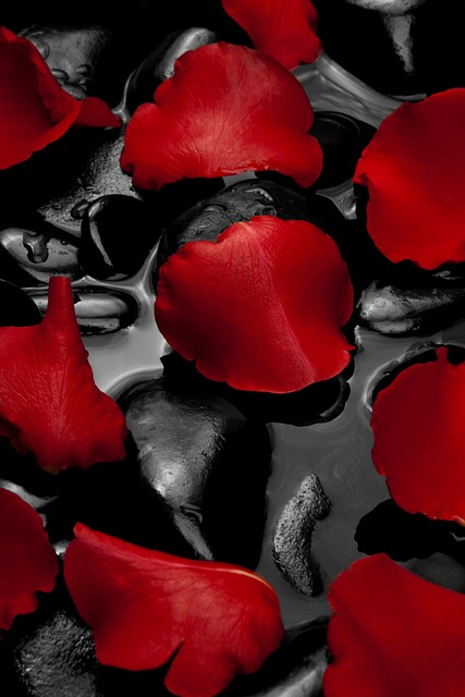 Fotó: Ingyenesen használható a Pixabay tartalom licenc alatt.