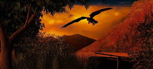 Fotó: Tomáš Lhotský, Pixabay.