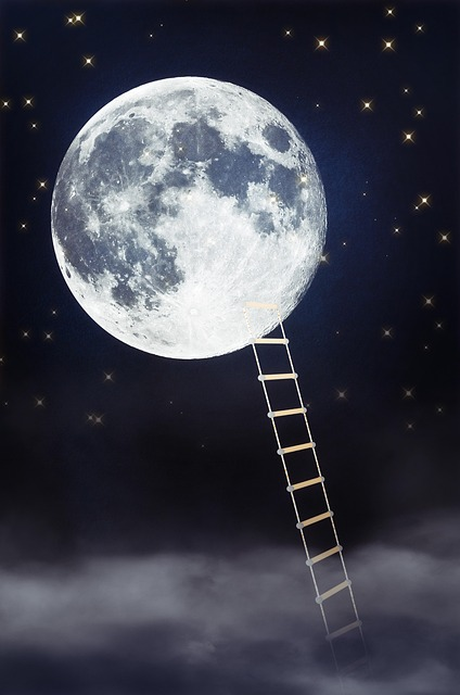 Fotó: Bianca Van Dijk, Pixabay.