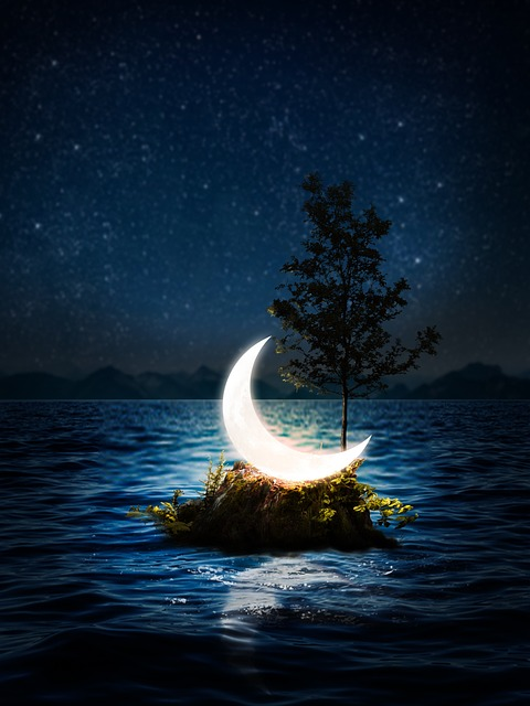 Photo is by IFAT AHMAD, from Pixabay.